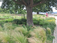 B-image090.png